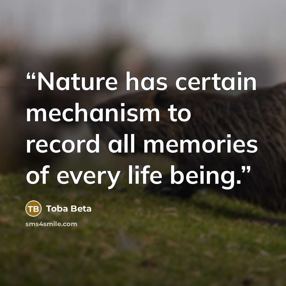 “Nature has certain mechanism to record all memories of every life being.” quote by Toba Beta