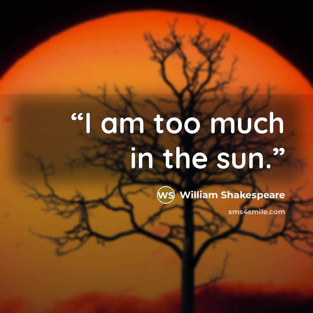 “I am too much in the sun.” quote by William Shakespeare