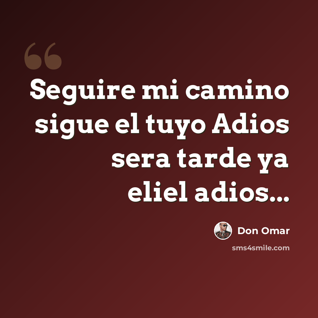 “Seguire mi camino sigue el tuyo Adios sera tarde ya eliel adios...” quote by Don Omar