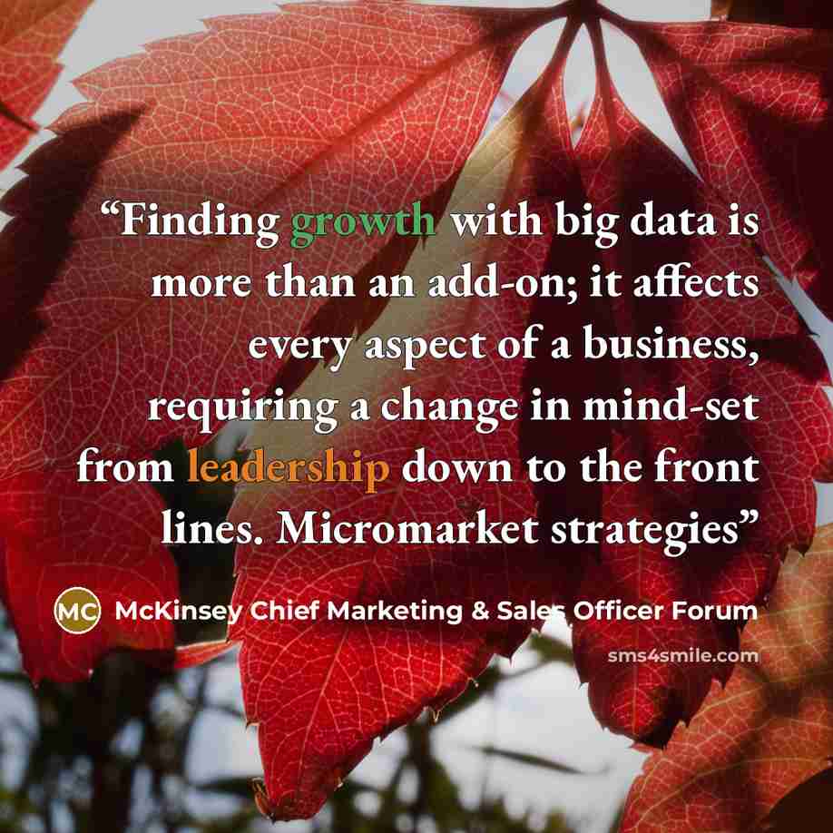 “Finding growth with big data is more than an add-on; it affects every aspect of a business, requiring a change in mind-set from leadership down to the front lines. Micromarket strategies” quote by McKinsey Chief Marketing & Sales Officer Forum