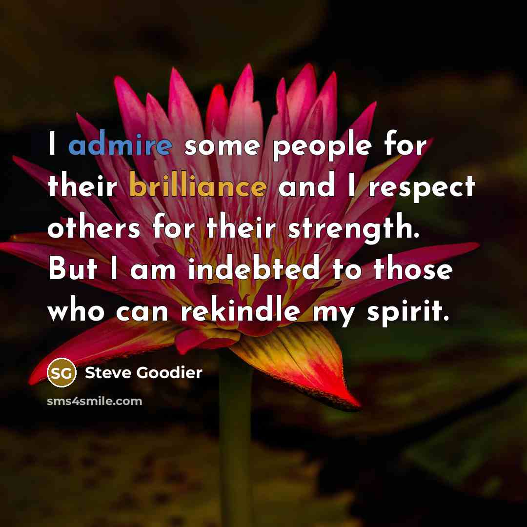 “I admire some people for their brilliance and I respect others for their strength. But I am indebted to those who can rekindle my spirit.” quote by Steve Goodier