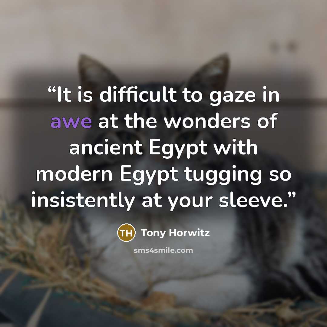 “It is difficult to gaze in awe at the wonders of ancient Egypt with modern Egypt tugging so insistently at your sleeve.” quote by Tony Horwitz