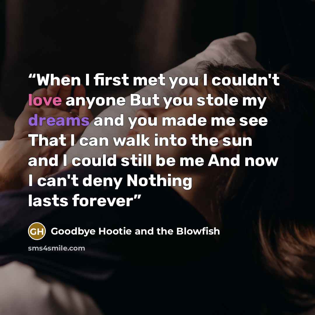 “When I first met you I couldn't love anyone But you stole my dreams and you made me see That I can walk into the sun and I could still be me And now I can't deny Nothing lasts forever” quote by Goodbye Hootie and the Blowfish