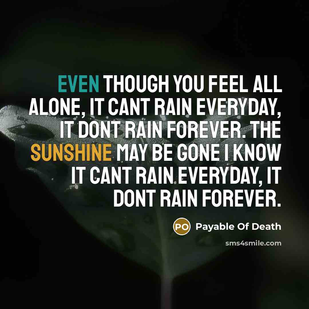 “Even though you feel all alone, it cant rain everyday, it dont rain forever. The sunshine may be gone I know it cant rain everyday, it dont rain forever.” quote by Payable Of Death