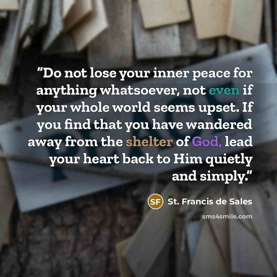 “Do not lose your inner peace for anything whatsoever, not even if your whole world seems upset. If you find that you have wandered away from the shelter of God, lead your heart back to Him quietly and simply.” quote by St. Francis de Sales