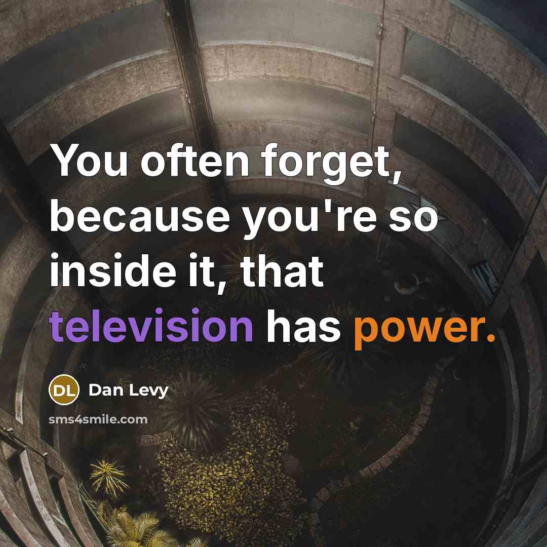 “You often forget, because you're so inside it, that television has power.” quote by Dan Levy