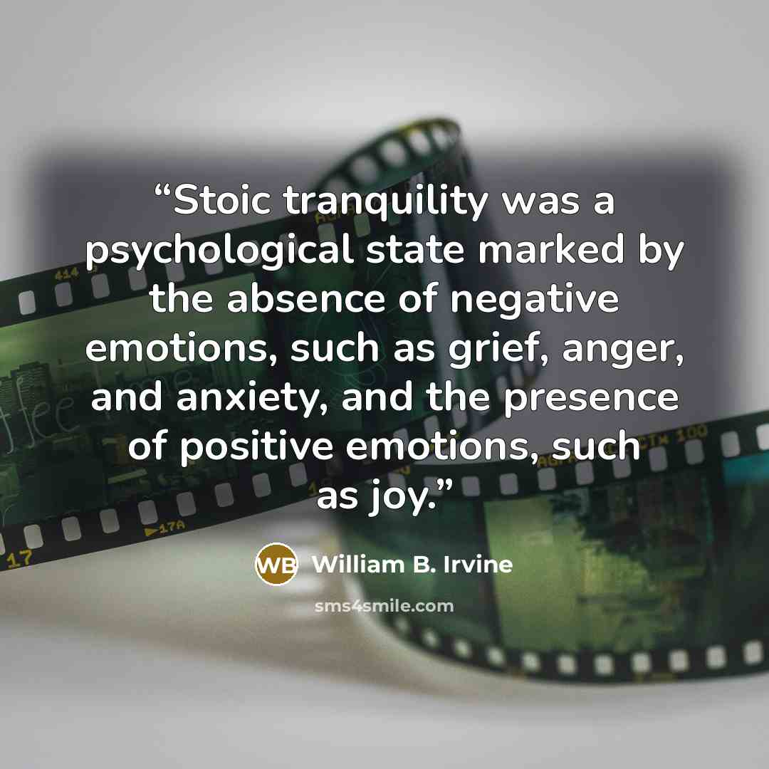 “Stoic tranquility was a psychological state marked by the absence of negative emotions, such as grief, anger, and anxiety, and the presence of positive emotions, such as joy.” quote by William B. Irvine