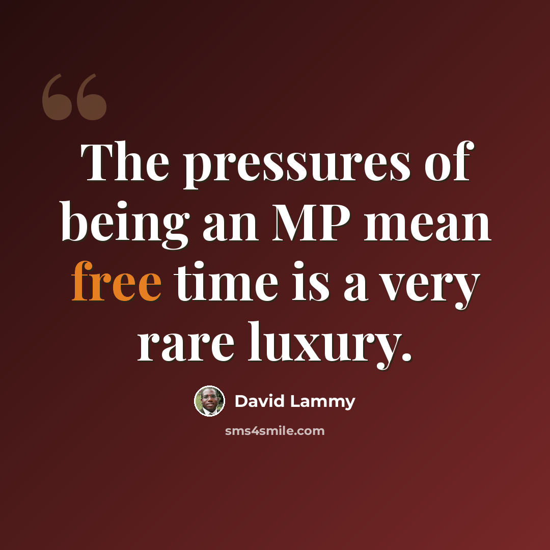 “The pressures of being an MP mean free time is a very rare luxury.” quote by David Lammy