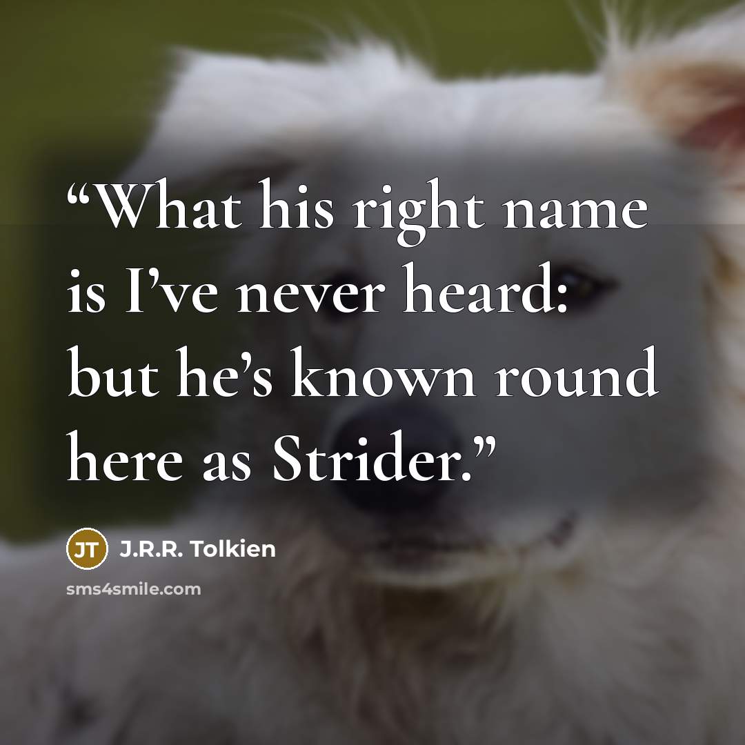 “What his right name is I’ve never heard: but he’s known round here as Strider.” quote by J.R.R. Tolkien