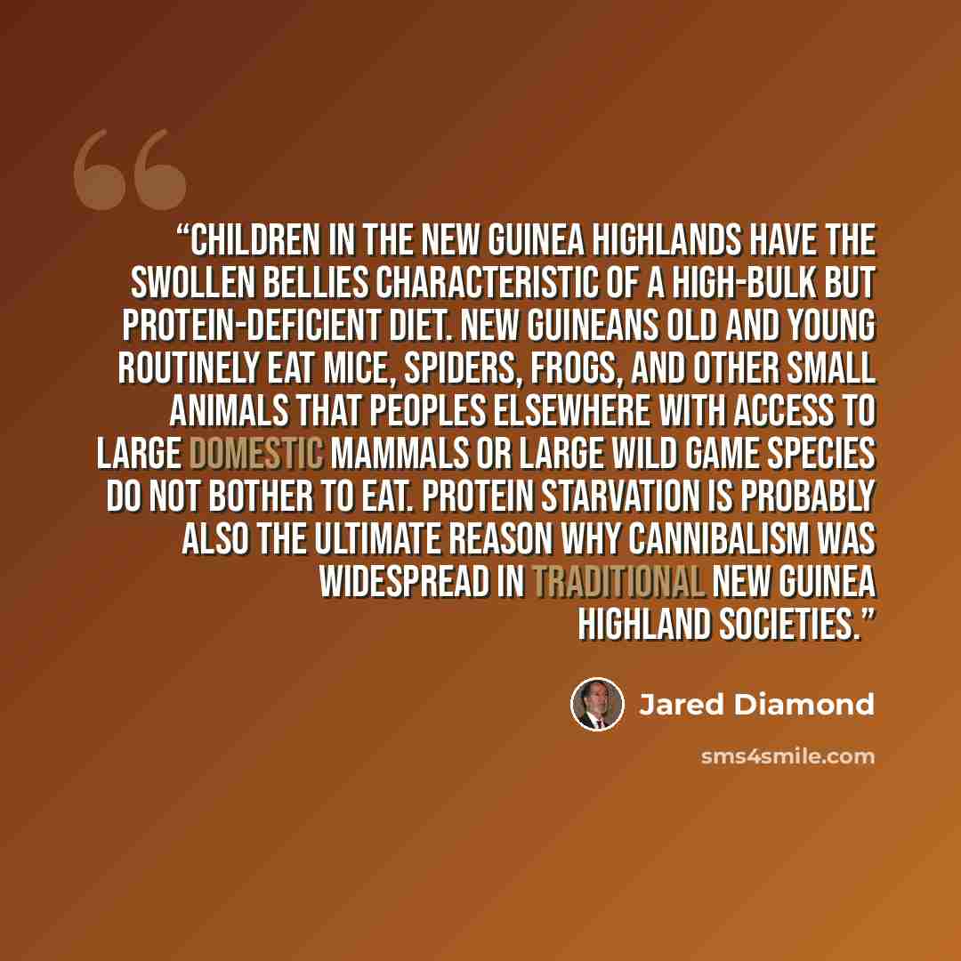 “Children in the New Guinea highlands have the swollen bellies characteristic of a high-bulk but protein-deficient diet. New Guineans old and young routinely eat mice, spiders, frogs, and other small animals that peoples elsewhere with access to large domestic mammals or large wild game species do…” quote by Jared Diamond