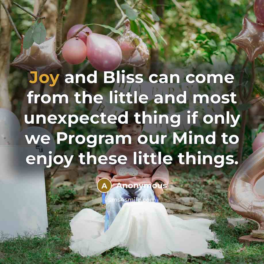 “Joy and Bliss can come from the little and most unexpected thing if only we Program our Mind to enjoy these little things.” quote by Anonymous