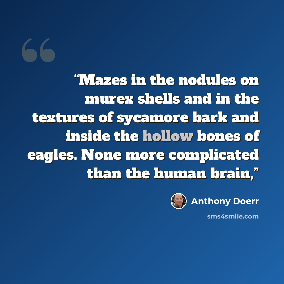 “Mazes in the nodules on murex shells and in the textures of sycamore bark and inside the hollow bones of eagles. None more complicated than the human brain,” quote by Anthony Doerr