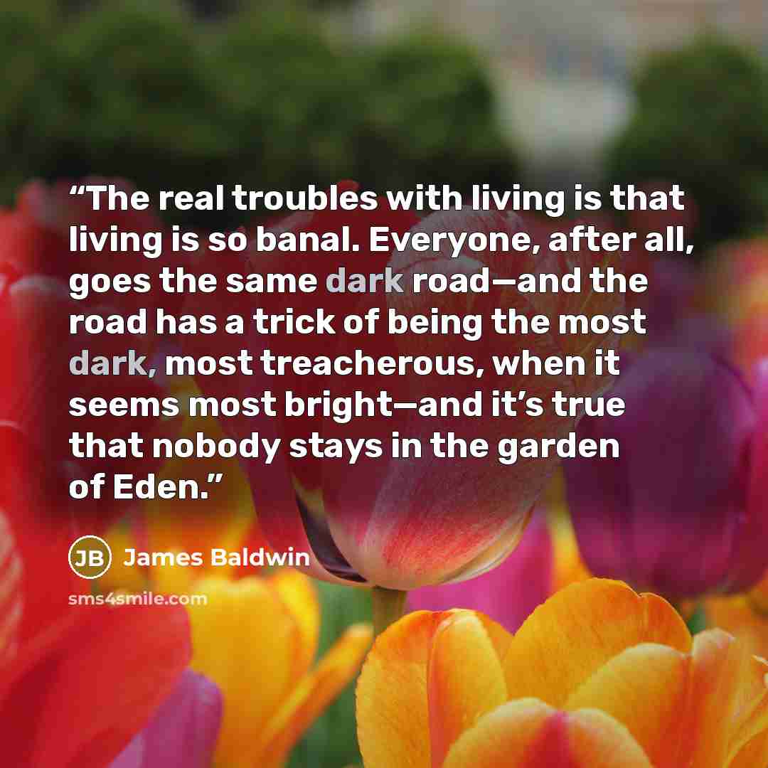 “The real troubles with living is that living is so banal. Everyone, after all, goes the same dark road—and the road has a trick of being the most dark, most treacherous, when it seems most bright—and it’s true that nobody stays in the garden of Eden.” quote by James Baldwin