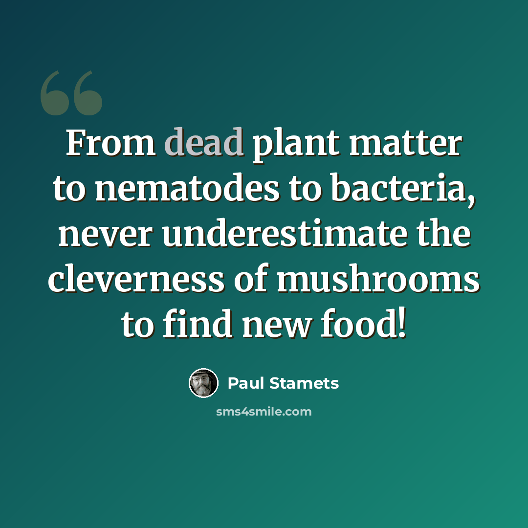 “From dead plant matter to nematodes to bacteria, never underestimate the cleverness of mushrooms to find new food!” quote by Paul Stamets