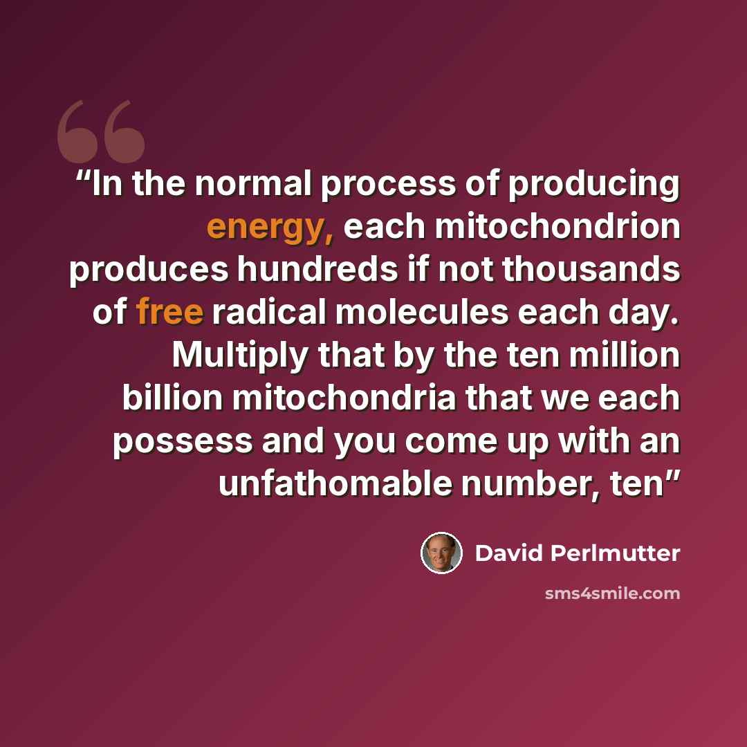“In the normal process of producing energy, each mitochondrion produces hundreds if not thousands of free radical molecules each day. Multiply that by the ten million billion mitochondria that we each possess and you come up with an unfathomable number, ten” quote by David Perlmutter