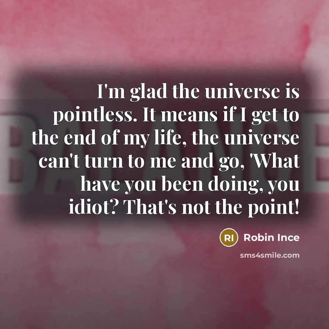 “I'm glad the universe is pointless. It means if I get to the end of my life, the universe can't turn to me and go, 'What have you been doing, you idiot? That's not the point!” quote by Robin Ince
