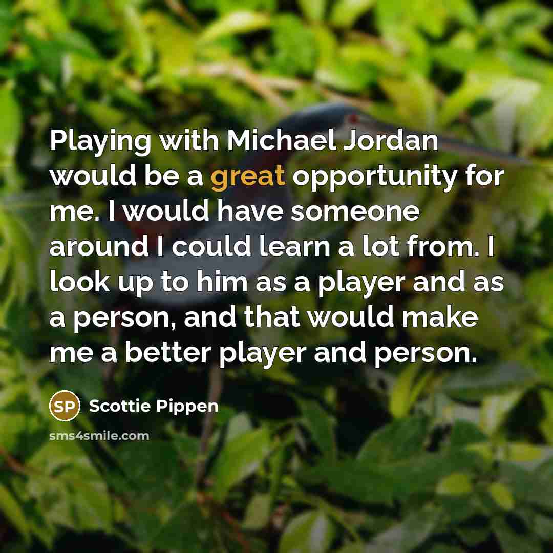 “Playing with Michael Jordan would be a great opportunity for me. I would have someone around I could learn a lot from. I look up to him as a player and as a person, and that would make me a better player and person.” quote by Scottie Pippen