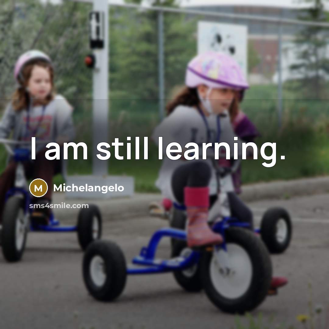 “I am still learning.” quote by Michelangelo