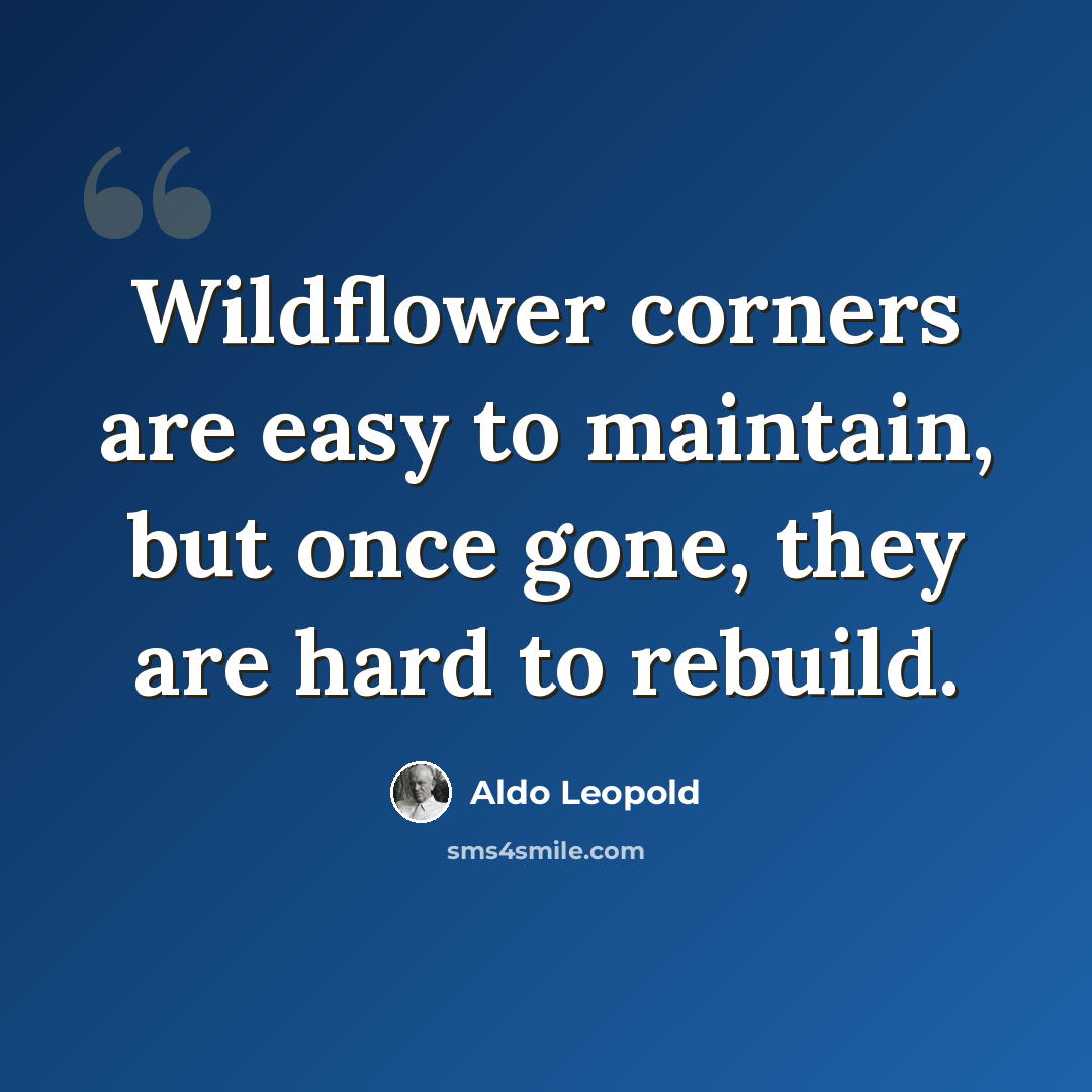 “Wildflower corners are easy to maintain, but once gone, they are hard to rebuild.” quote by Aldo Leopold