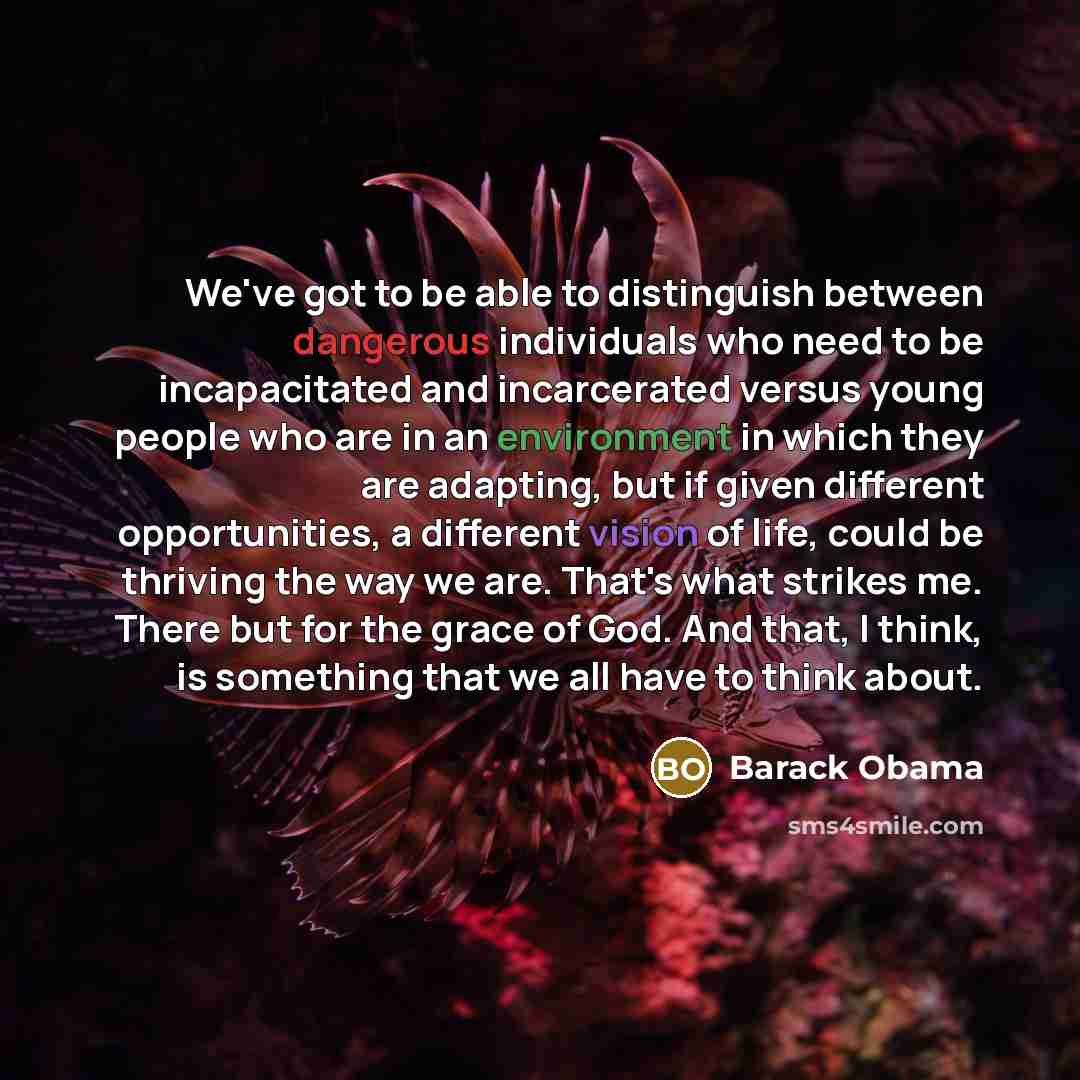“We've got to be able to distinguish between dangerous individuals who need to be incapacitated and incarcerated versus young people who are in an environment in which they are adapting, but if given different opportunities, a different vision of life, could be thriving the way we are. That's what…” quote by Barack Obama