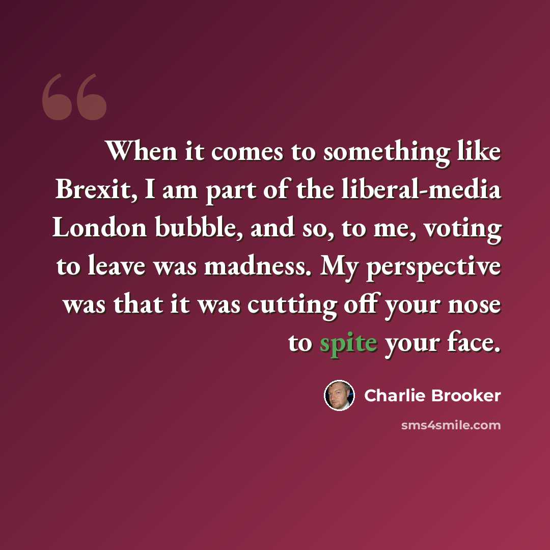 “When it comes to something like Brexit, I am part of the liberal-media London bubble, and so, to me, voting to leave was madness. My perspective was that it was cutting off your nose to spite your face.” quote by Charlie Brooker