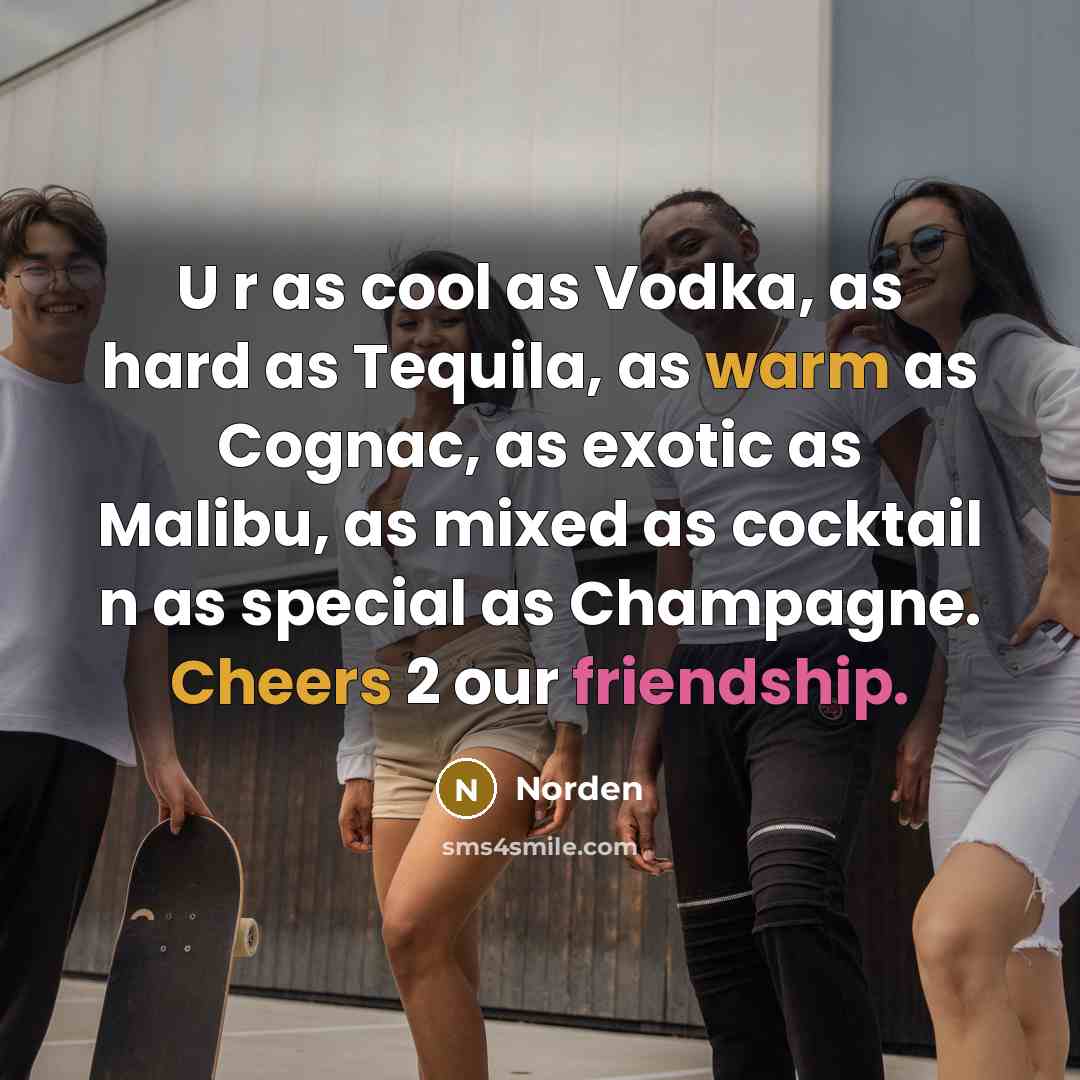 “U r as cool as Vodka, as hard as Tequila, as warm as Cognac, as exotic as Malibu, as mixed as cocktail n as special as Champagne. Cheers 2 our friendship.” quote by Norden