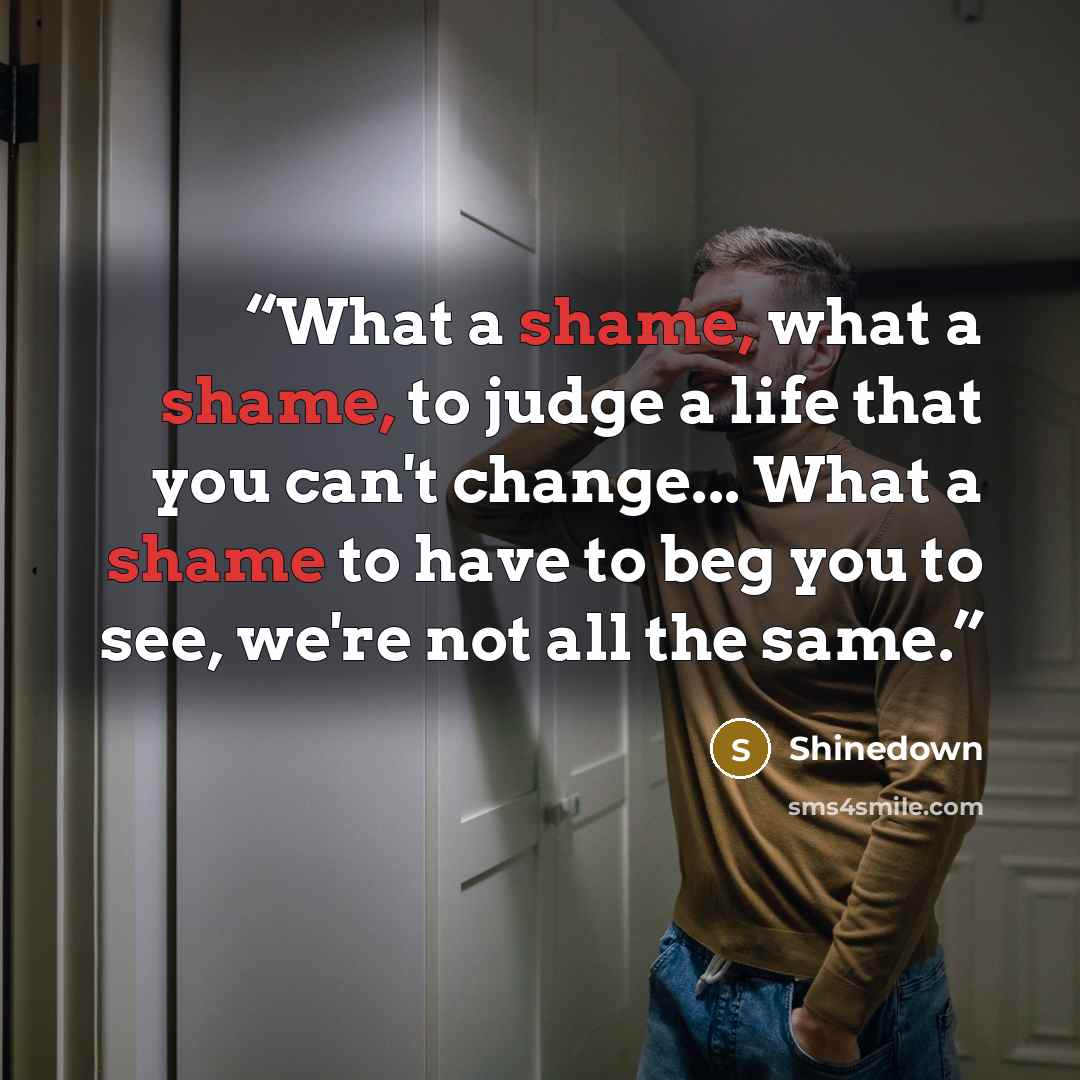“What a shame, what a shame, to judge a life that you can't change... What a shame to have to beg you to see, we're not all the same.” quote by Shinedown