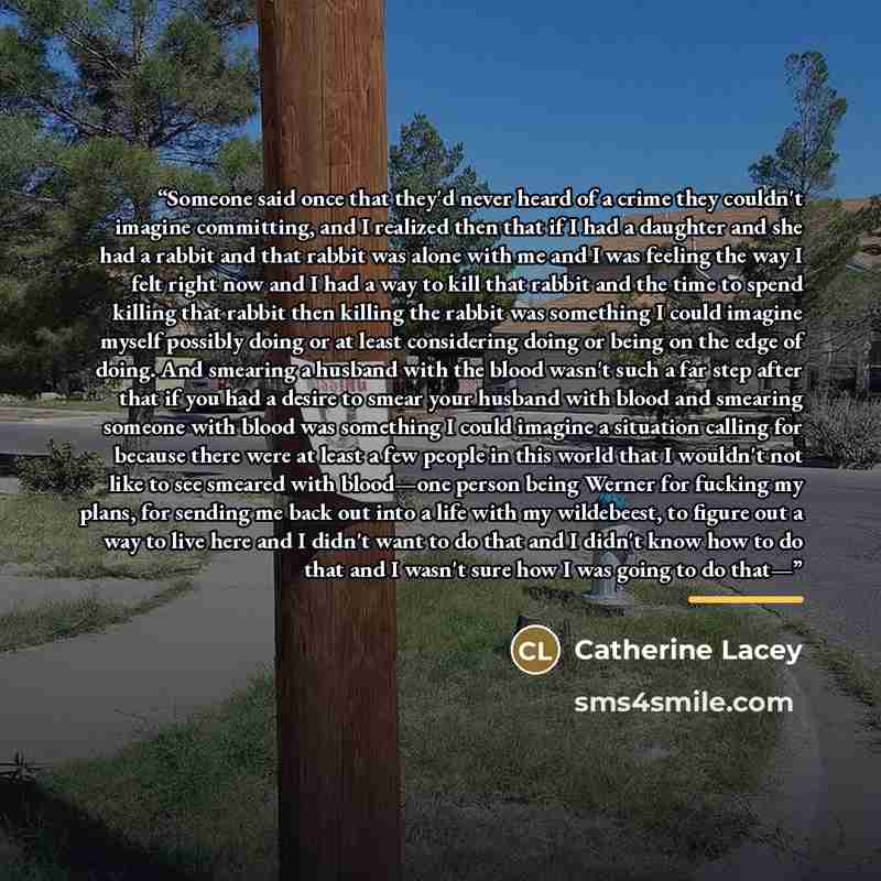 “Someone said once that they'd never heard of a crime they couldn't imagine committing, and I realized then that if I had a daughter and she had a rabbit and that rabbit was alone with me and I was feeling the way I felt right now and I had a way to kill that rabbit and the time to spend killing…” quote by Catherine Lacey