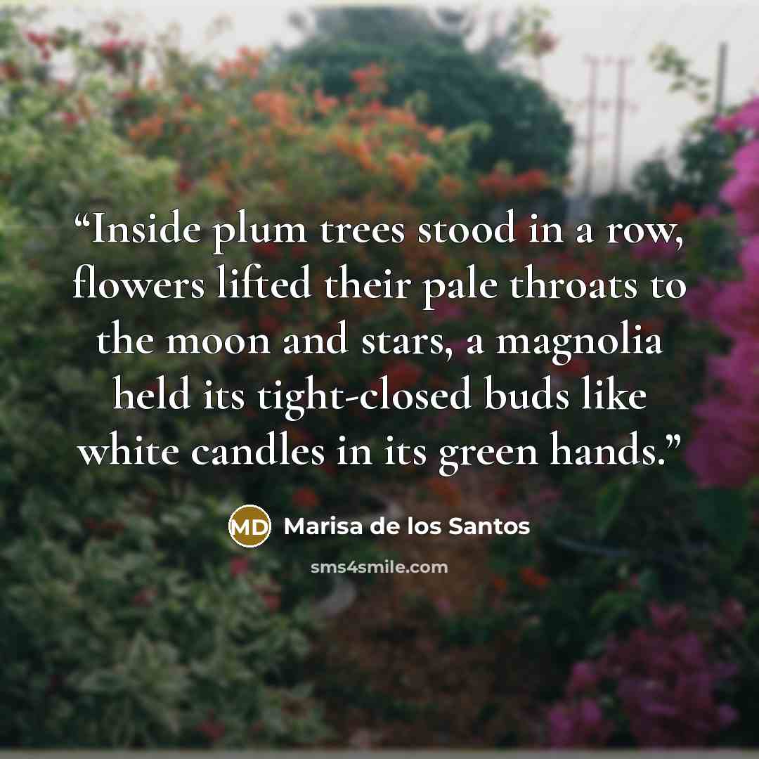 “Inside plum trees stood in a row, flowers lifted their pale throats to the moon and stars, a magnolia held its tight-closed buds like white candles in its green hands.” quote by Marisa de los Santos