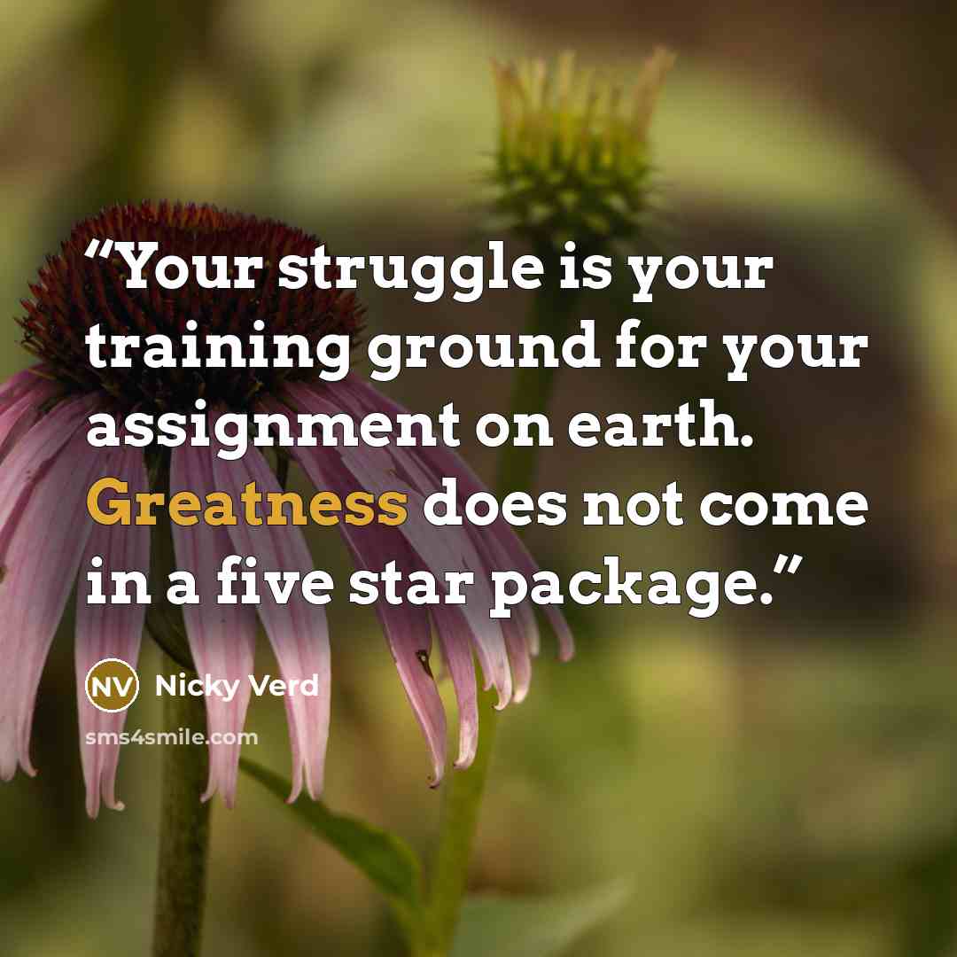 “Your struggle is your training ground for your assignment on earth. Greatness does not come in a five star package.” quote by Nicky Verd