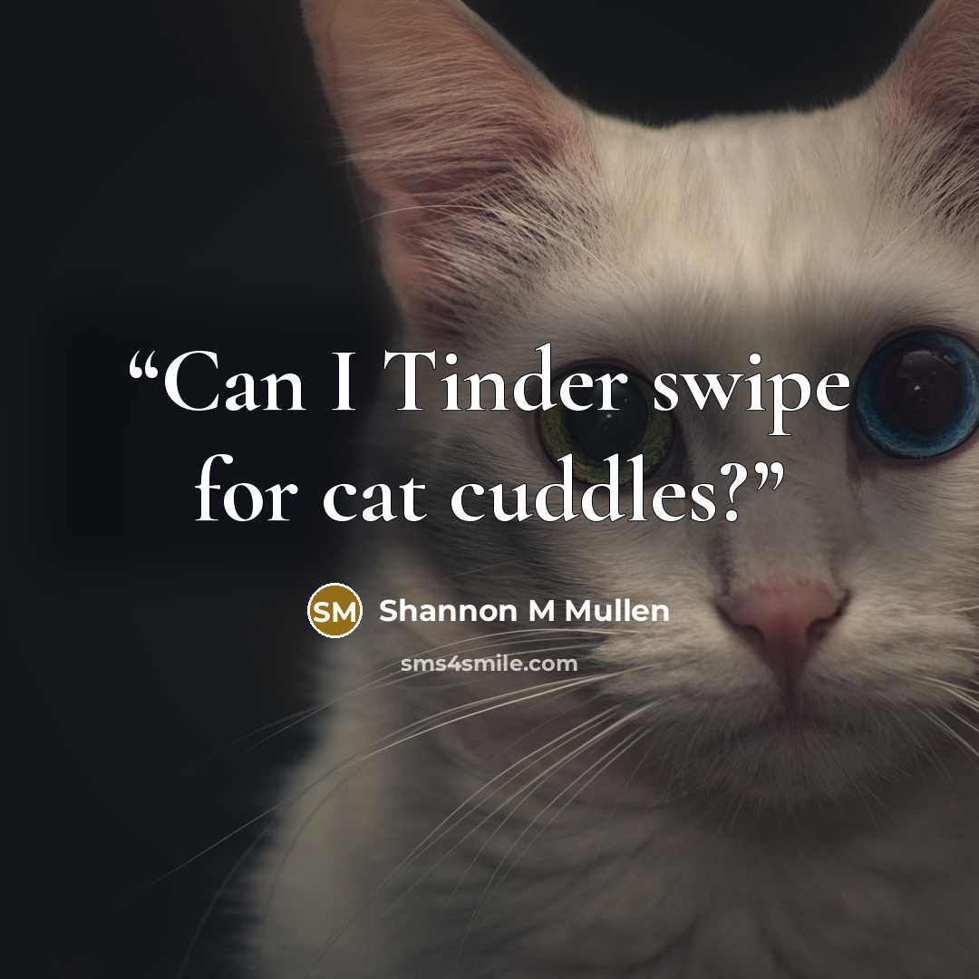 “Can I Tinder swipe for cat cuddles?” quote by Shannon M Mullen