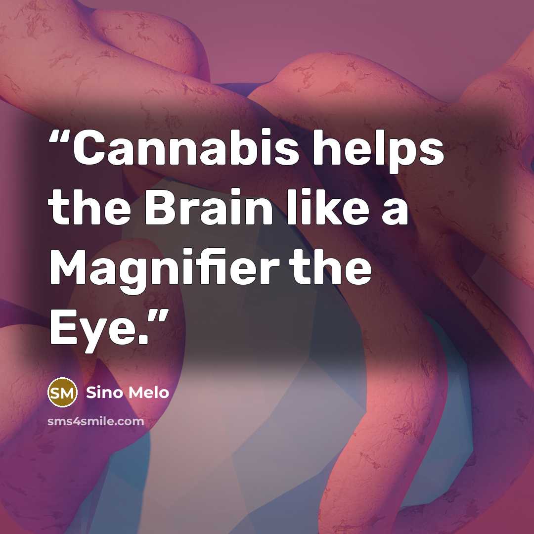 “Cannabis helps the Brain like a Magnifier the Eye.” quote by Sino Melo