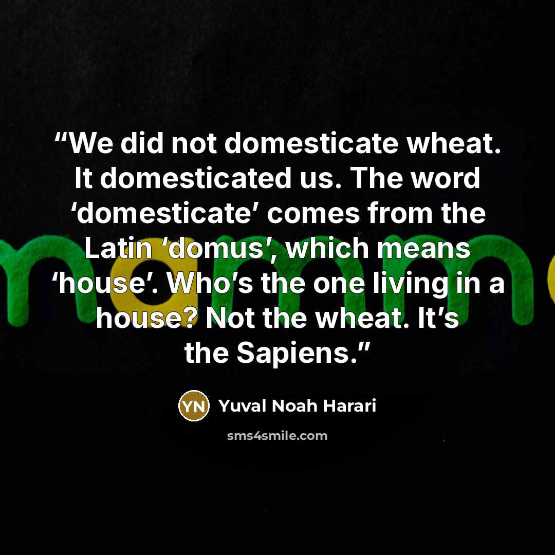 “We did not domesticate wheat. It domesticated us. The word ‘domesticate’ comes from the Latin ‘domus’, which means ‘house’. Who’s the one living in a house? Not the wheat. It’s the Sapiens.” quote by Yuval Noah Harari