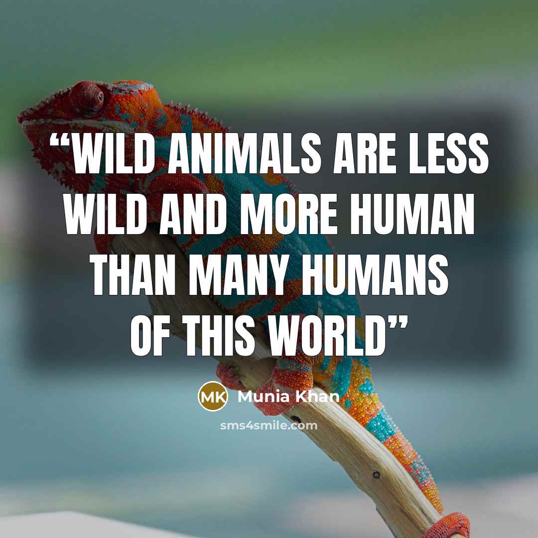 “Wild animals are less wild and more human than many humans of this world” quote by Munia Khan