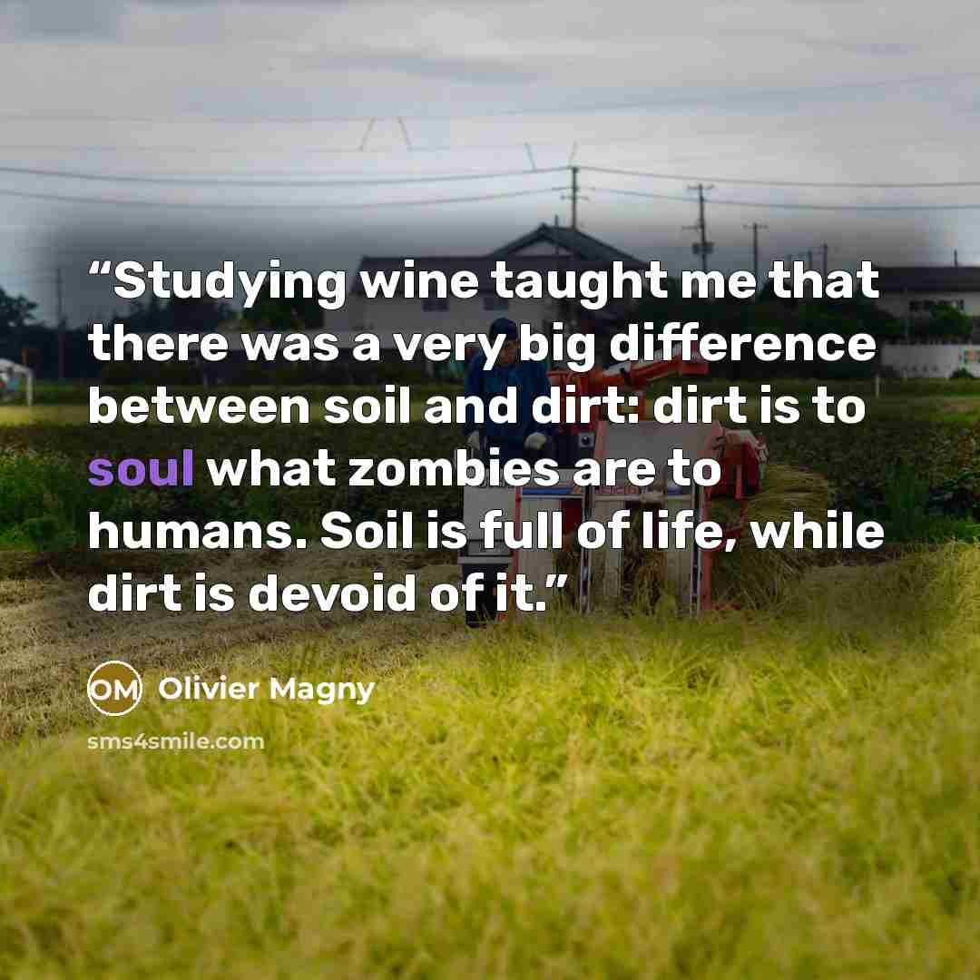 “Studying wine taught me that there was a very big difference between soil and dirt: dirt is to soul what zombies are to humans. Soil is full of life, while dirt is devoid of it.” quote by Olivier Magny