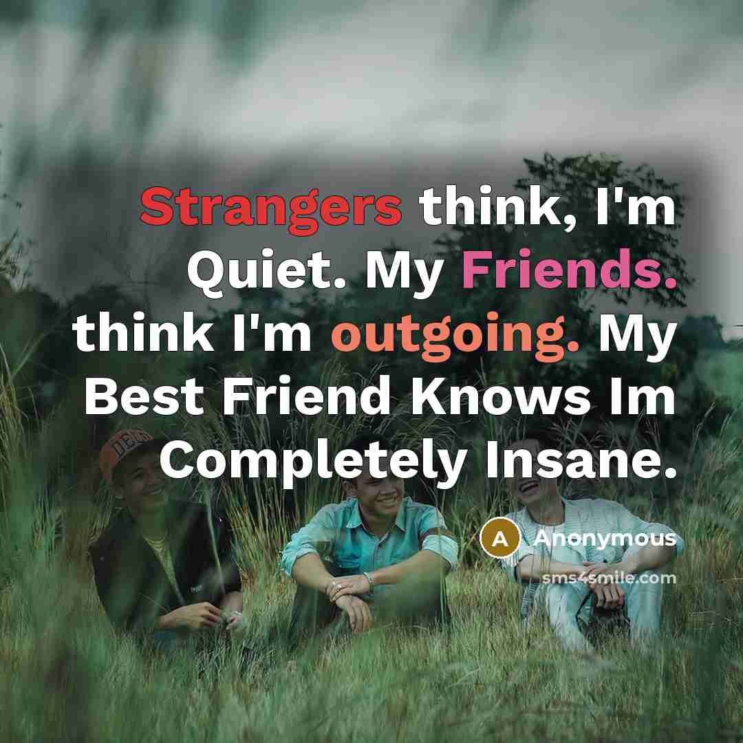 “Strangers think, I'm Quiet. My Friends. think I'm outgoing. My Best Friend Knows Im Completely Insane.” quote by Anonymous