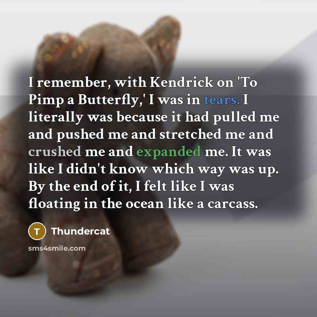 “I remember, with Kendrick on 'To Pimp a Butterfly,' I was in tears. I literally was because it had pulled me and pushed me and stretched me and crushed me and expanded me. It was like I didn't know which way was up. By the end of it, I felt like I was floating in the ocean like a carcass.” quote by Thundercat
