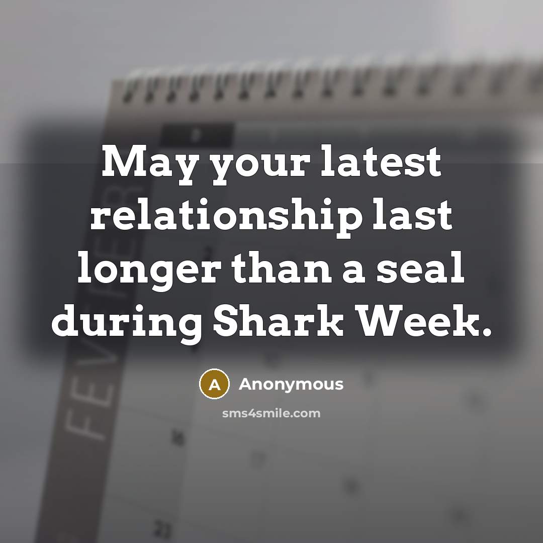 “May your latest relationship last longer than a seal during Shark Week.” quote by Anonymous