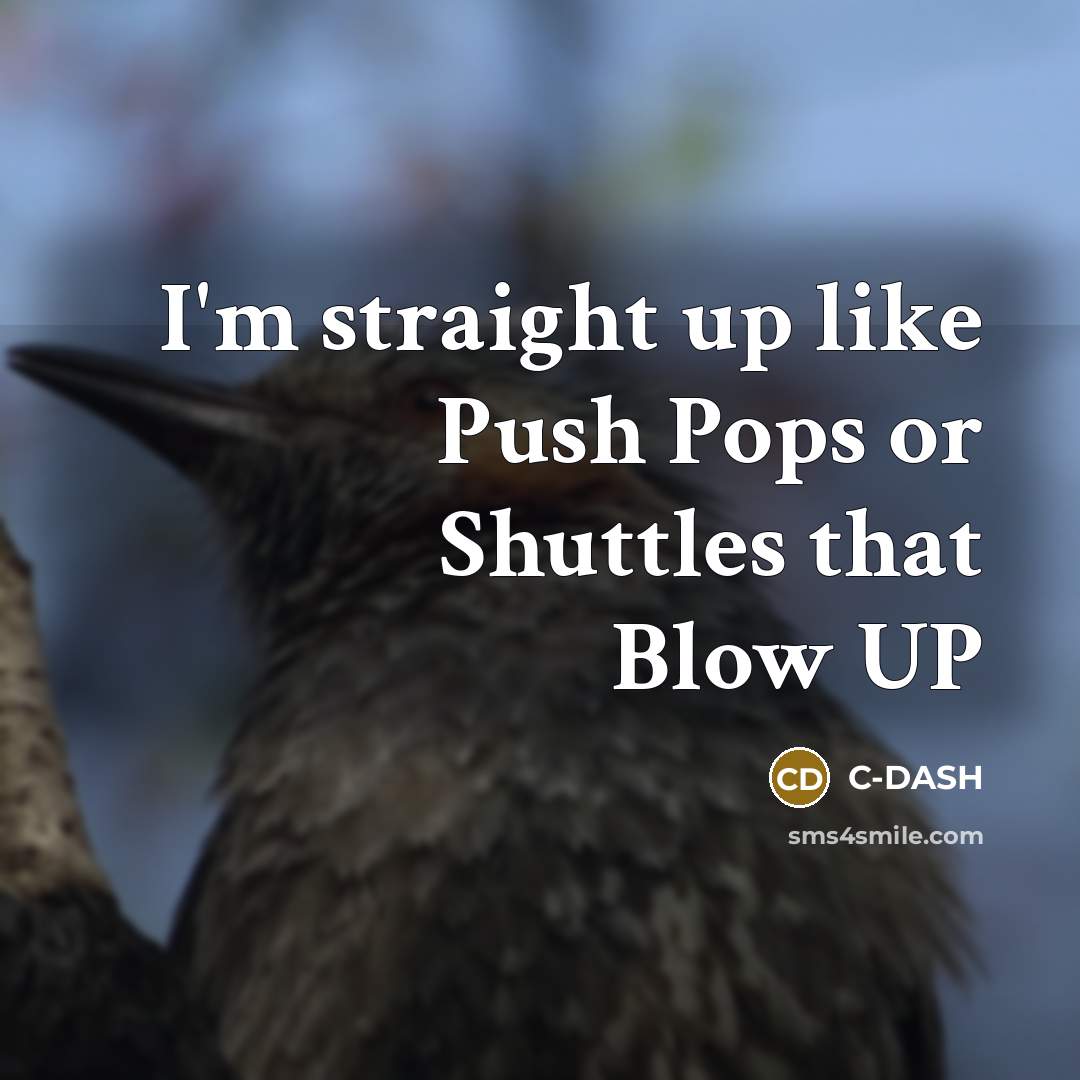 “I'm straight up like Push Pops or Shuttles that Blow UP” quote by C-DASH