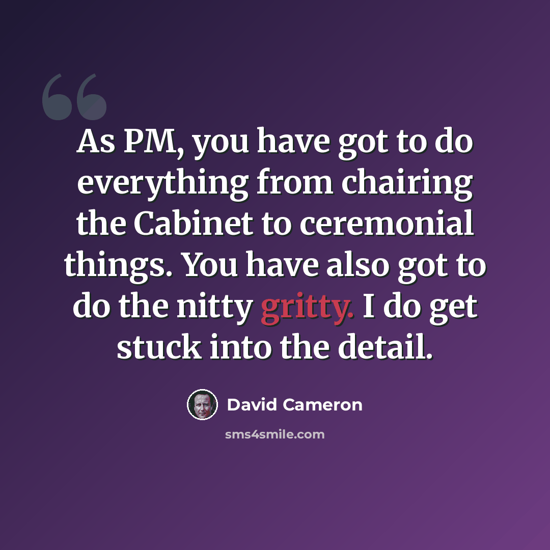 “As PM, you have got to do everything from chairing the Cabinet to ceremonial things. You have also got to do the nitty gritty. I do get stuck into the detail.” quote by David Cameron