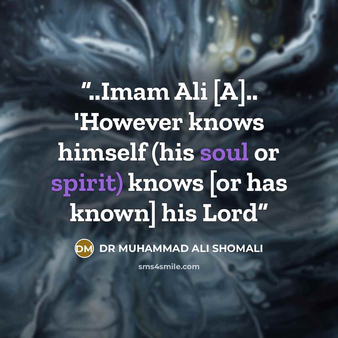“..Imam Ali [A].. 'However knows himself (his soul or spirit) knows [or has known] his Lord” quote by DR MUHAMMAD ALI SHOMALI