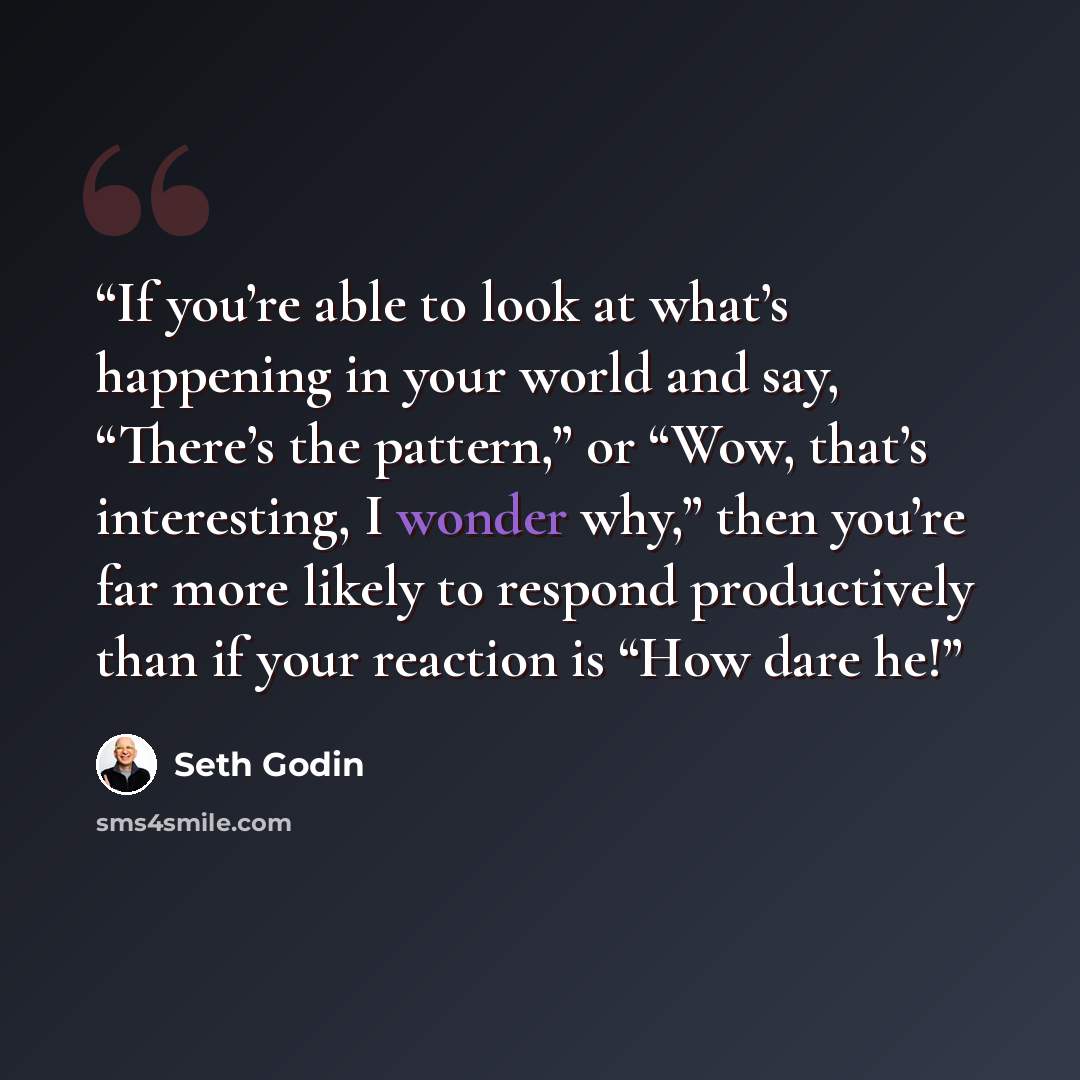 “If you’re able to look at what’s happening in your world and say, “There’s the pattern,” or “Wow, that’s interesting, I wonder why,” then you’re far more likely to respond productively than if your reaction is “How dare he!” quote by Seth Godin