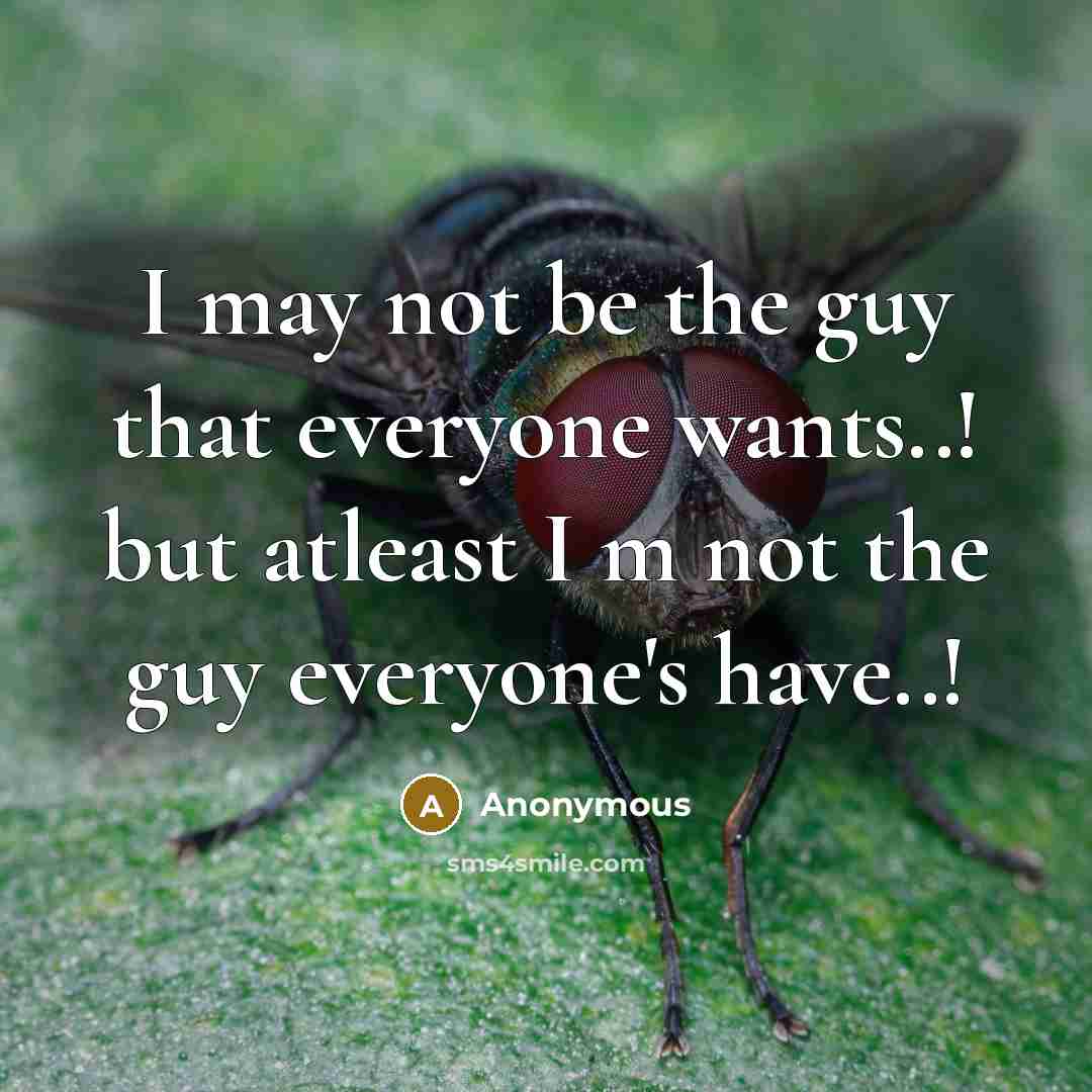 “I may not be the guy that everyone wants..! but atleast I m not the guy everyone's have..!” quote by Anonymous