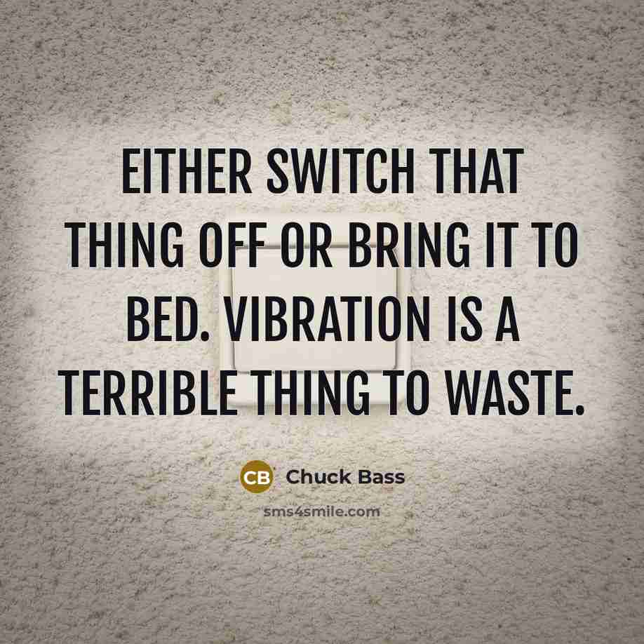“Either switch that thing off or bring it to bed. Vibration is a terrible thing to waste.” quote by Chuck Bass