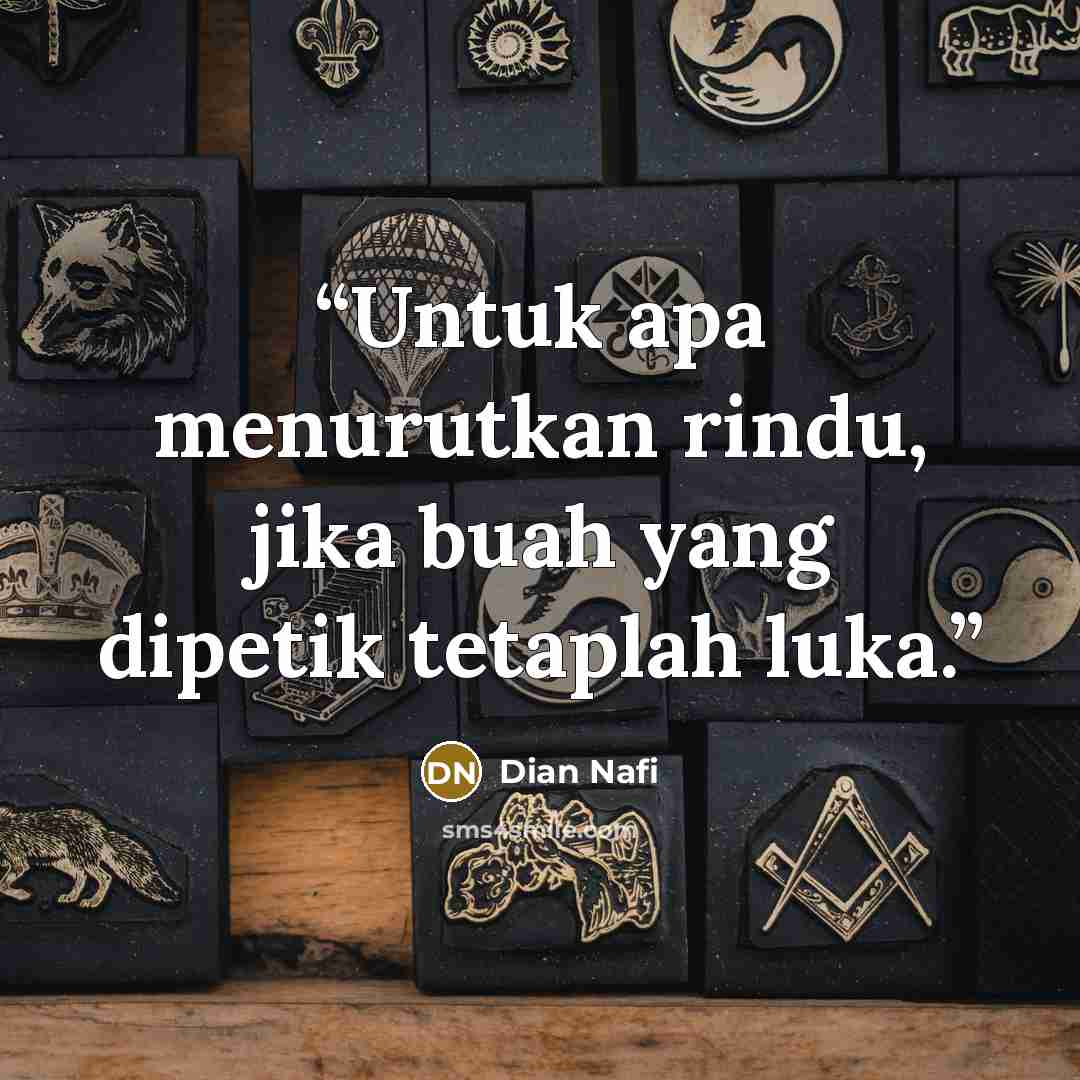 “Untuk apa menurutkan rindu, jika buah yang dipetik tetaplah luka.” quote by Dian Nafi