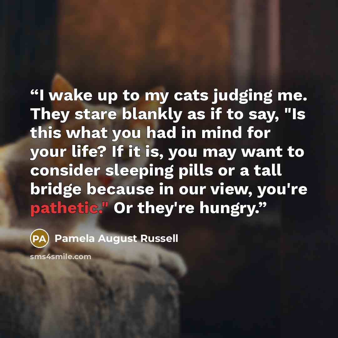 “I wake up to my cats judging me. They stare blankly as if to say, "Is this what you had in mind for your life? If it is, you may want to consider sleeping pills or a tall bridge because in our view, you're pathetic." Or they're hungry.” quote by Pamela August Russell
