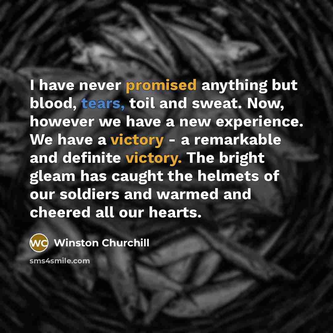 “I have never promised anything but blood, tears, toil and sweat. Now, however we have a new experience. We have a victory - a remarkable and definite victory. The bright gleam has caught the helmets of our soldiers and warmed and cheered all our hearts.” quote by Winston Churchill