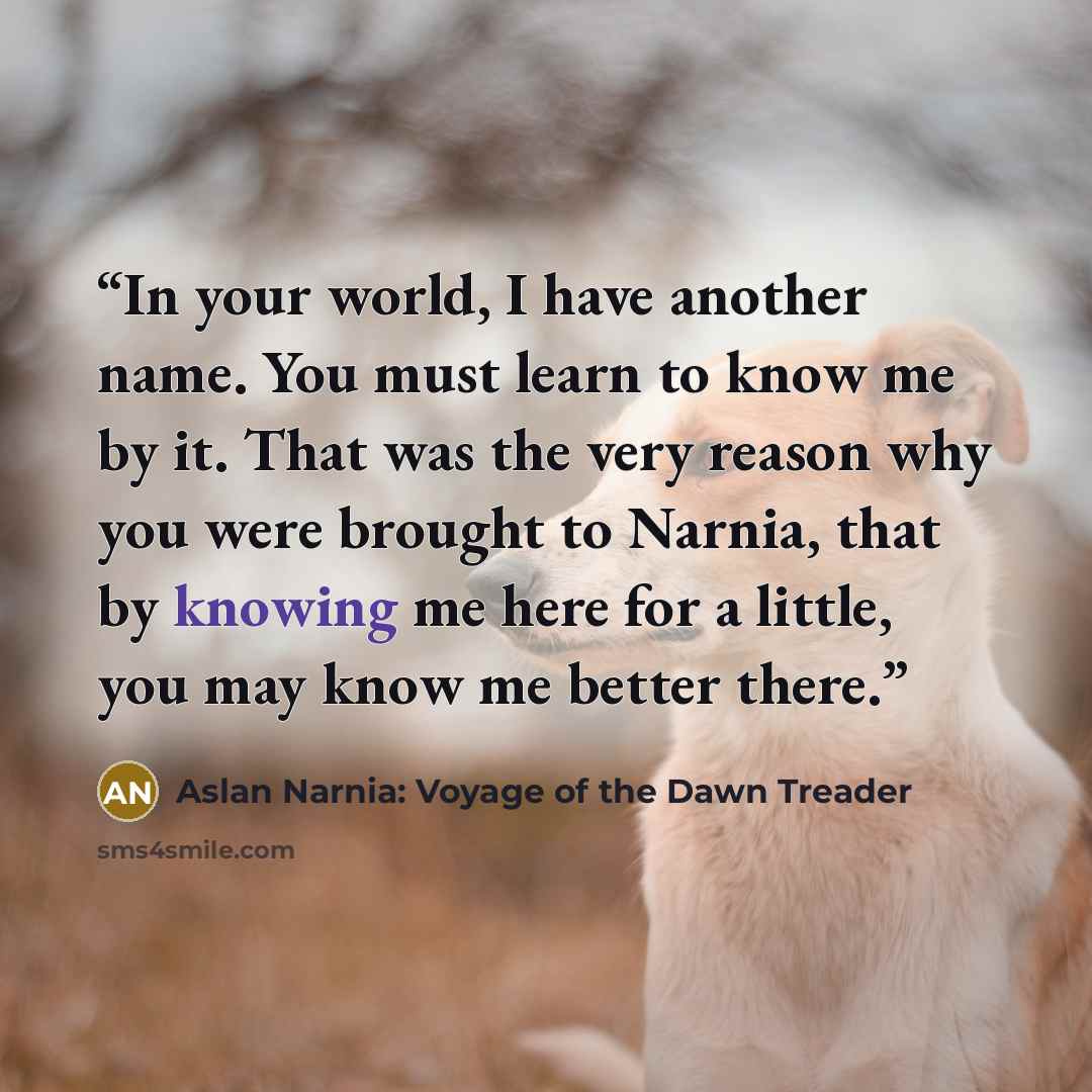 “In your world, I have another name. You must learn to know me by it. That was the very reason why you were brought to Narnia, that by knowing me here for a little, you may know me better there.” quote by Aslan Narnia: Voyage of the Dawn Treader