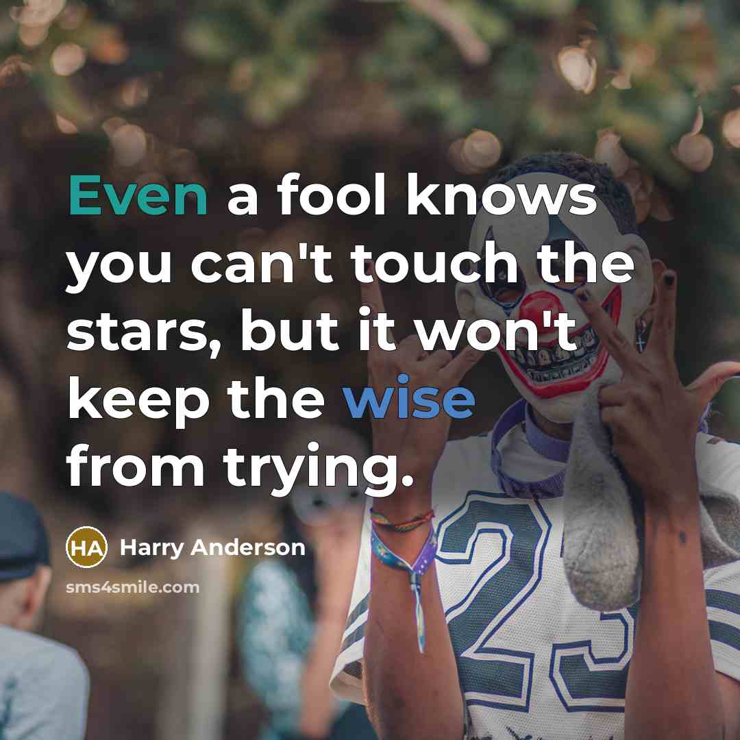 “Even a fool knows you can't touch the stars, but it won't keep the wise from trying.” quote by Harry Anderson