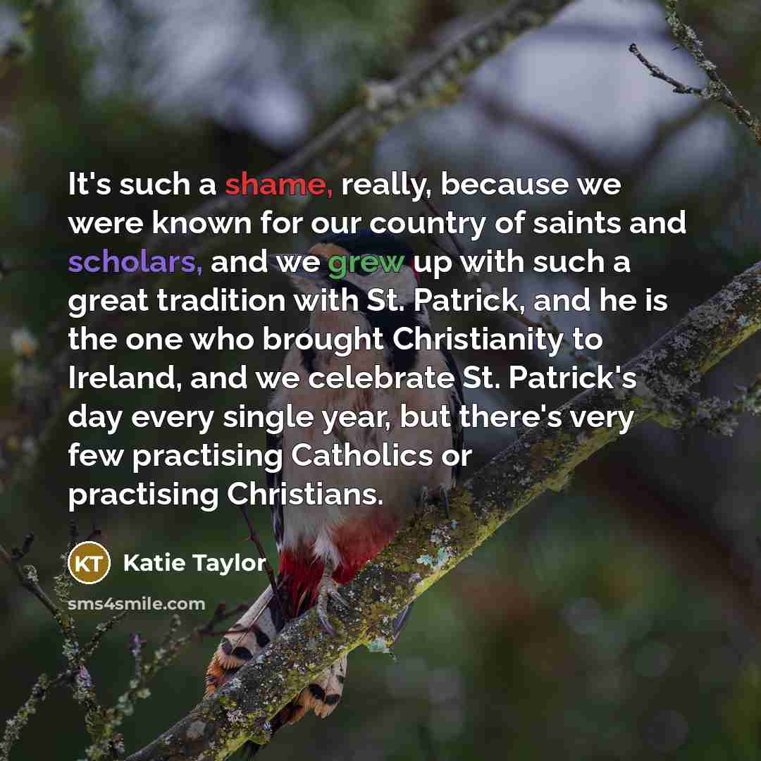 “It's such a shame, really, because we were known for our country of saints and scholars, and we grew up with such a great tradition with St. Patrick, and he is the one who brought Christianity to Ireland, and we celebrate St. Patrick's day every single year, but there's very few practising…” quote by Katie Taylor